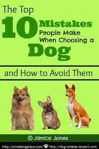 Top Ten Mistakes People Make When Choosing a Dog Breed 10 Mistakes People Make When Choosing a Dog Breed
