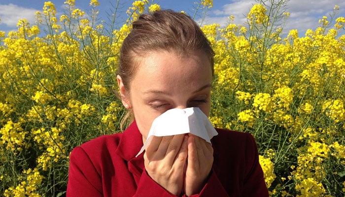This representational image shows a person experiencing allergy symptoms. — Pixabay