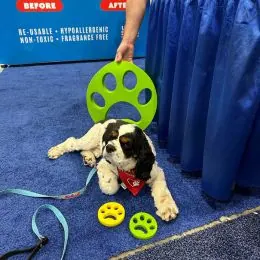 Cocker Spaniel with Furzapper product