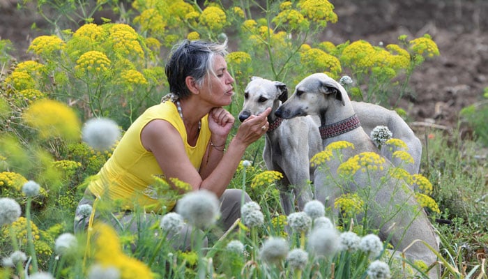 Tunisian dog lovers push to save...