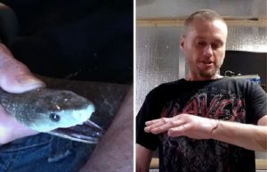 Man bitten 200 times sparks new...