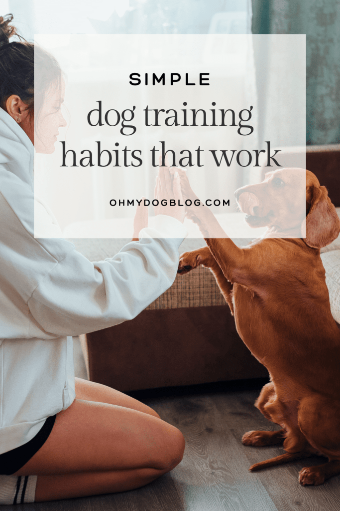 Simple Dog Training Habits That Actually...