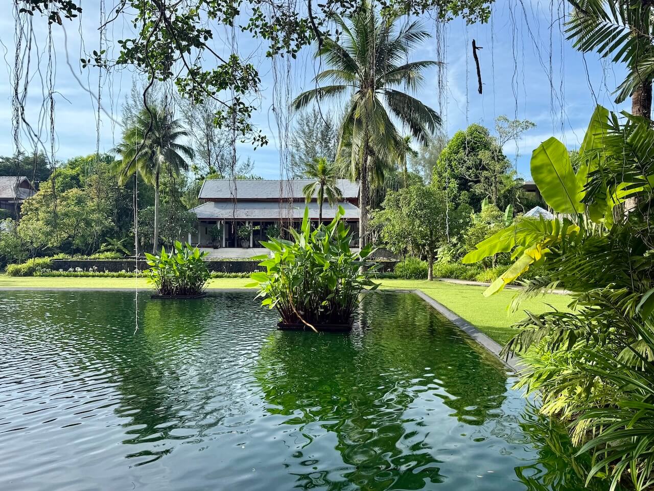 The Sarojin