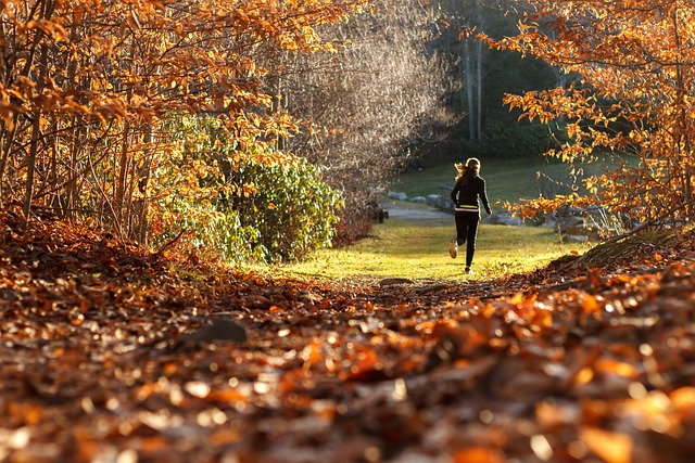 trail running for beginners