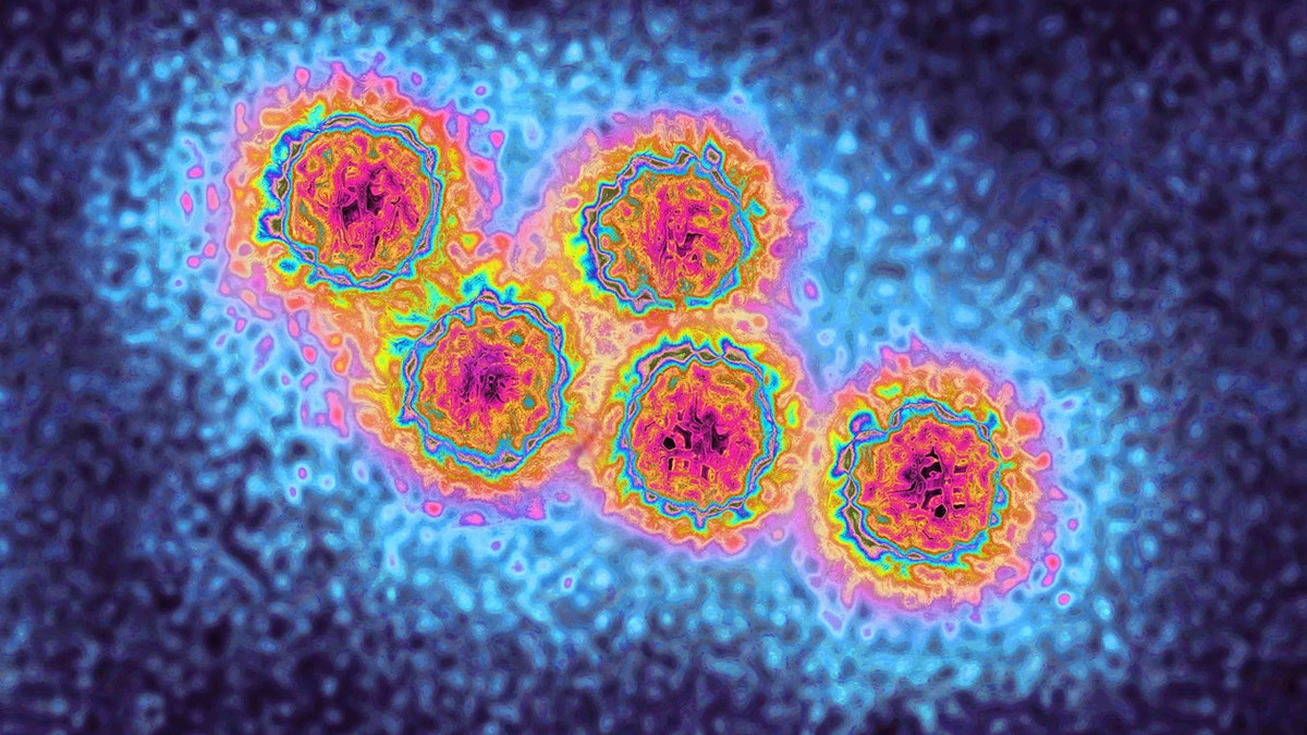 European health agency warns of hepatitis...