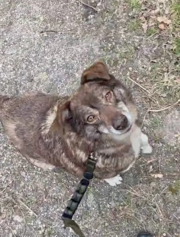Jake – 12 year old male...