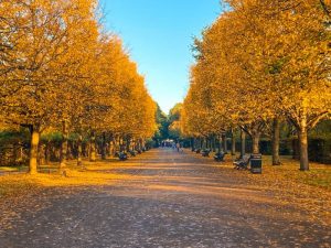 Autumn in Regent’s Park – My...