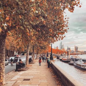 Autumn walks in Chelsea – My...