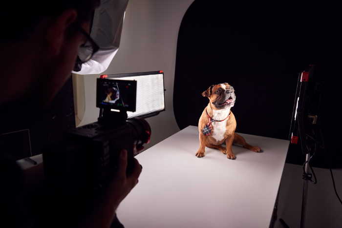Dog photographer and dog Dog photographer and dog