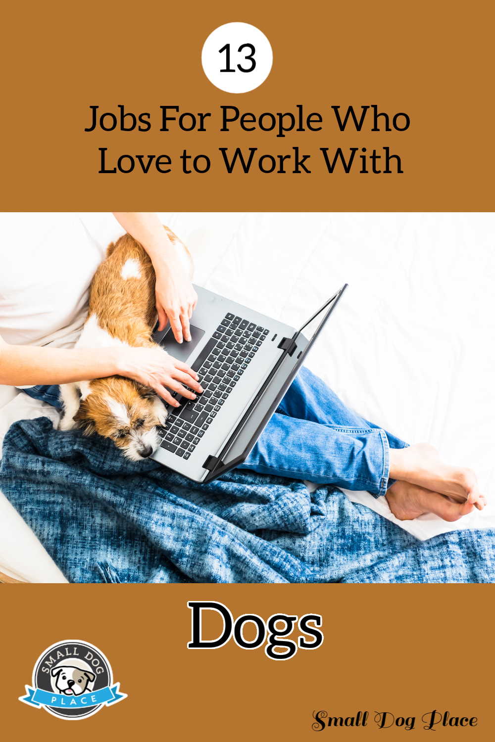 A man is working on his computer as he holds his dog. A man is working on his computer as he holds his dog.
