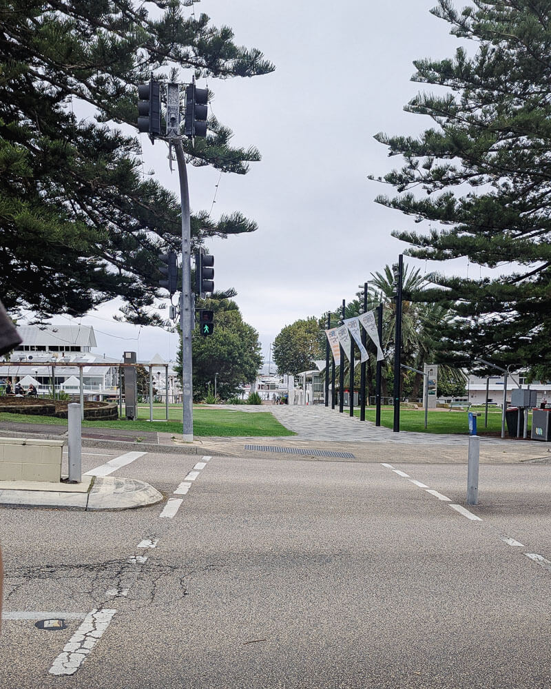 Nelson baY