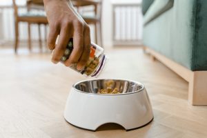 Dachshund Feeding Guide Calculator (How Much...