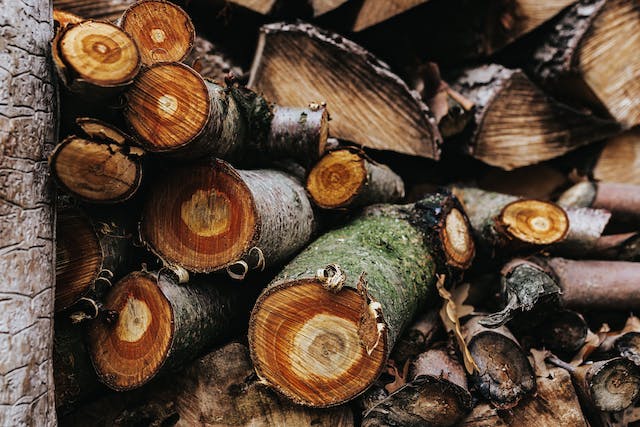 seasoning wood