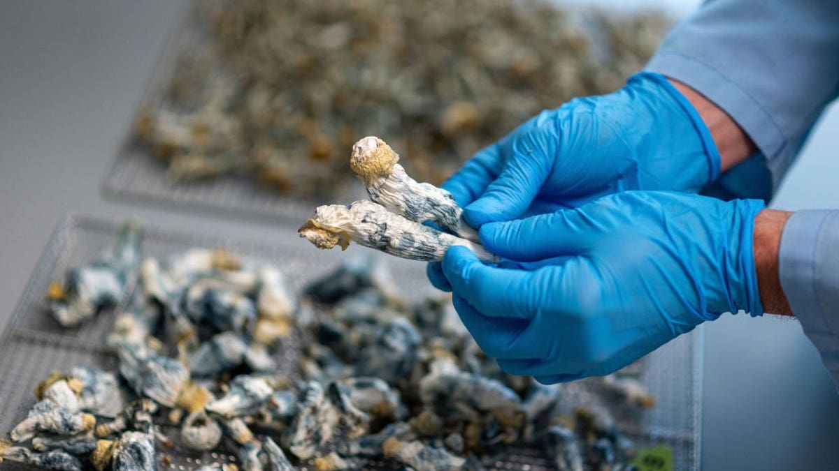 Psilocybin in magic mushrooms shows 5-year...