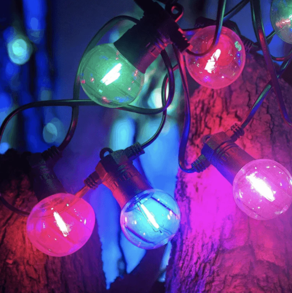 LIFESTYLE – Brighten your garden with...
