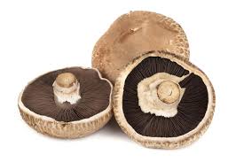 Hawaiian Portobello Stack — Medical Weight...